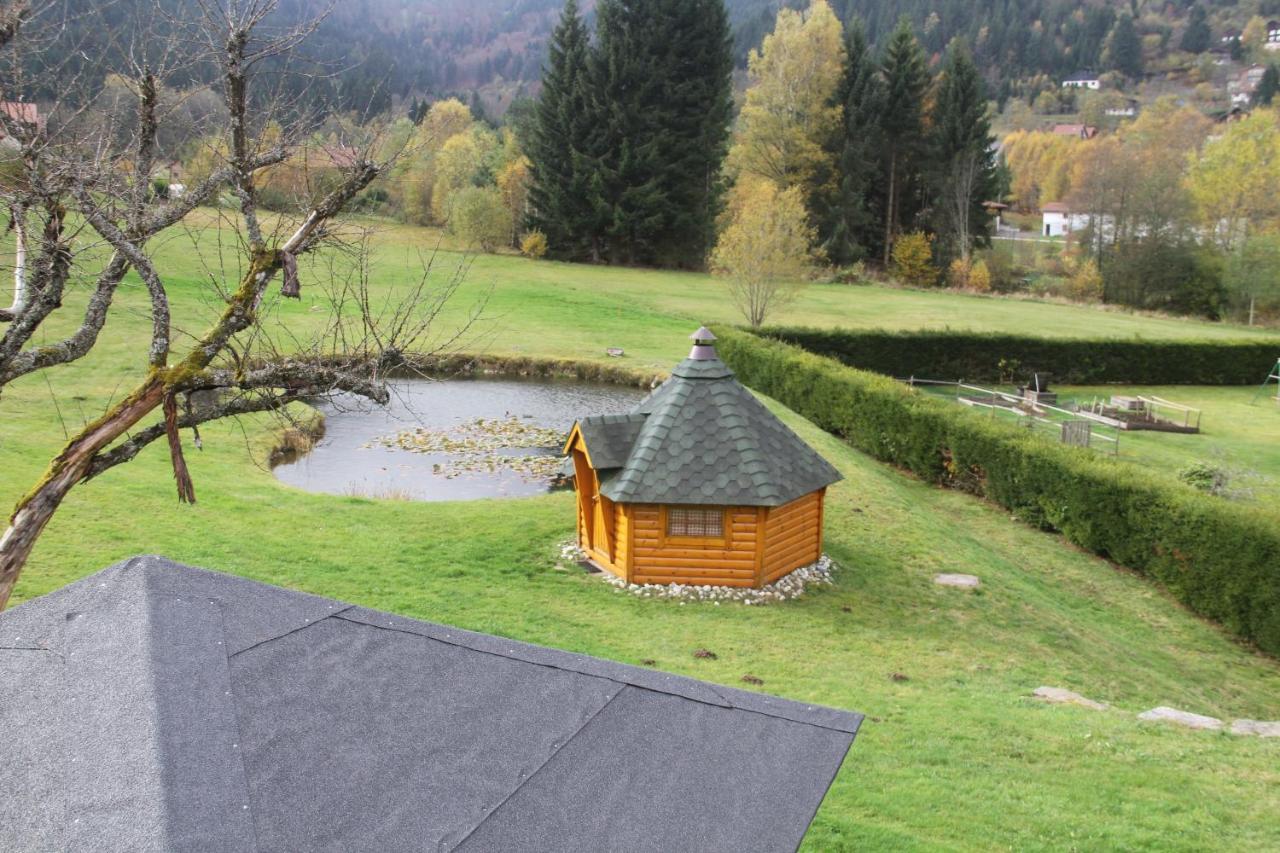 Chalet centaurée - Rémy HEROLD Xonrupt-Longemer Esterno foto