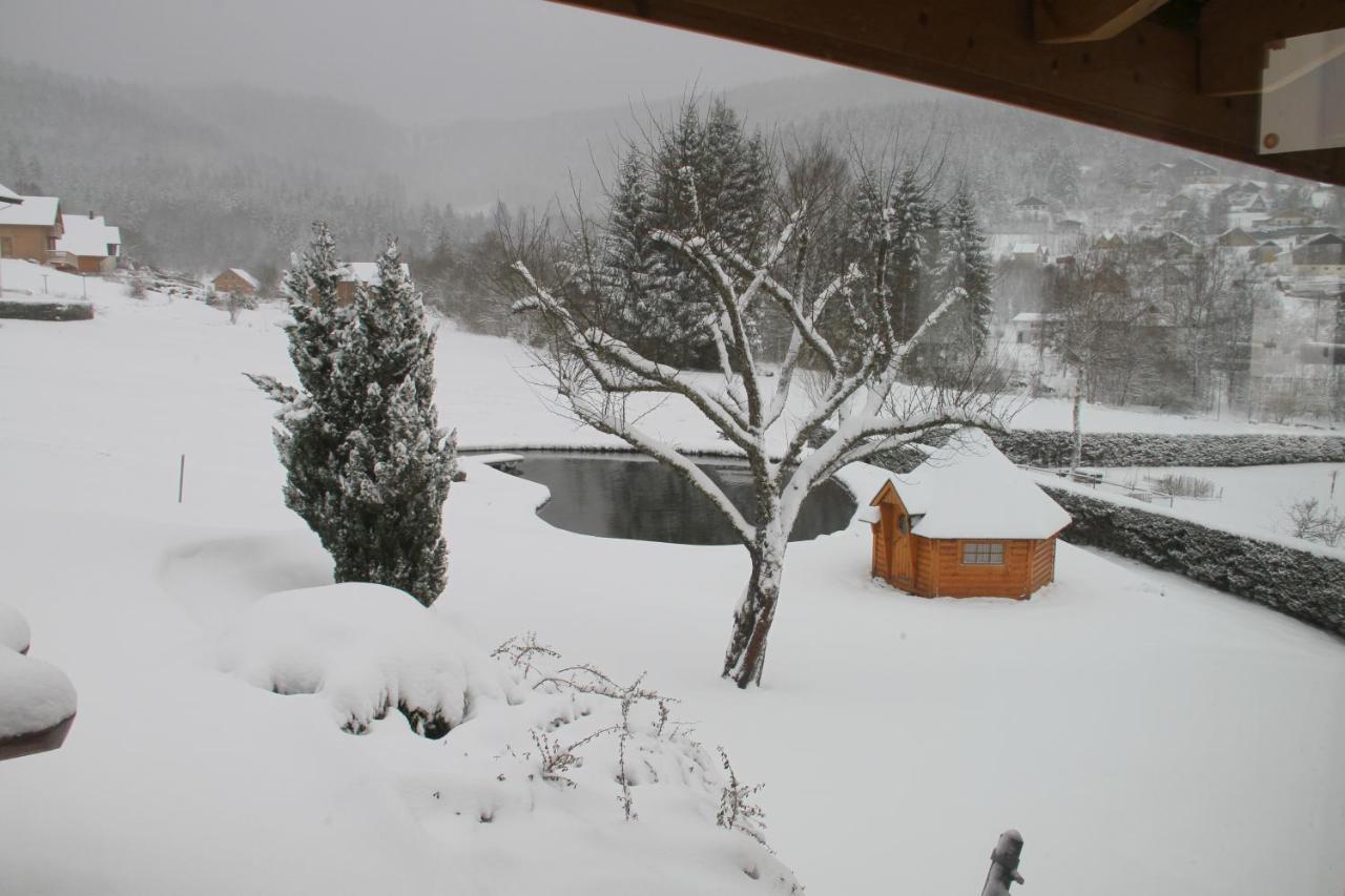Chalet centaurée - Rémy HEROLD Xonrupt-Longemer Esterno foto